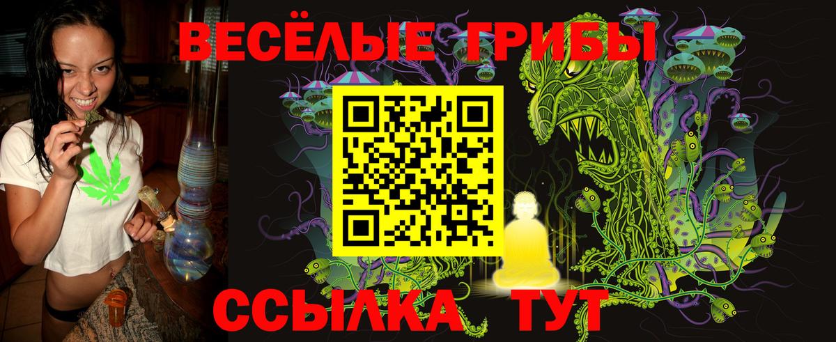 Галлюциногенные грибы мицелий Славгород